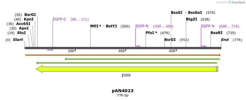 142741_map