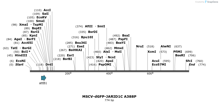 142776_map