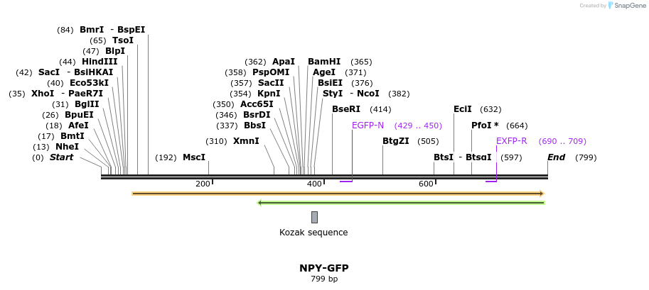 142779_map