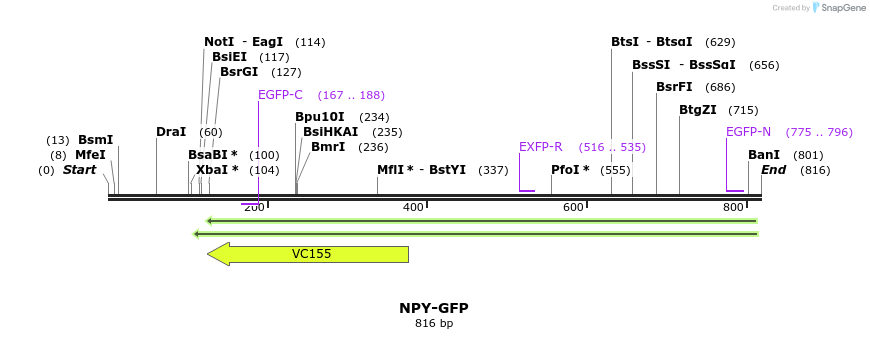 142780_map
