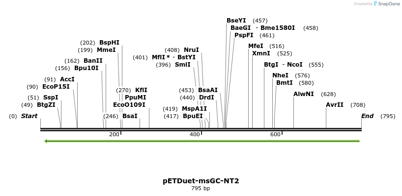 142781_map