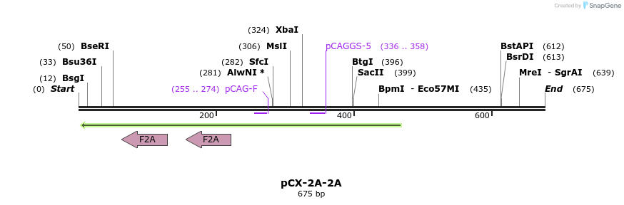 142786_map