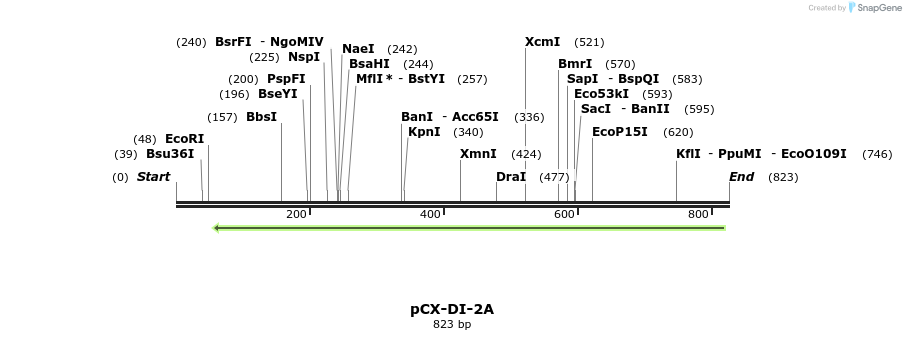 142790_map