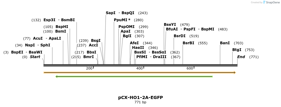 142791_map