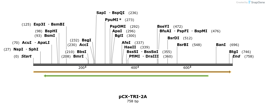 142794_map