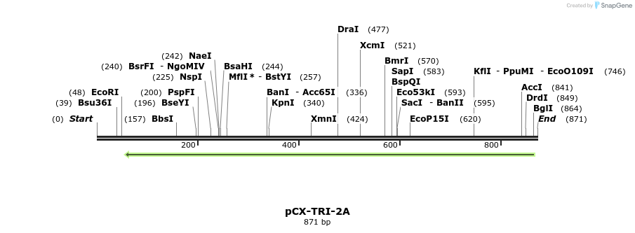 142795_map