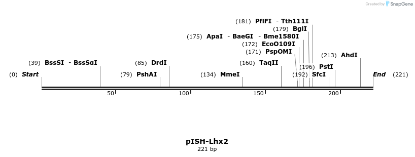 142799_map