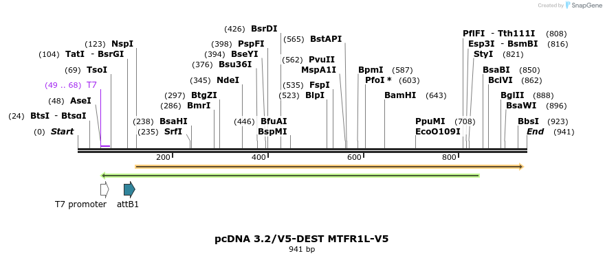 142800_map