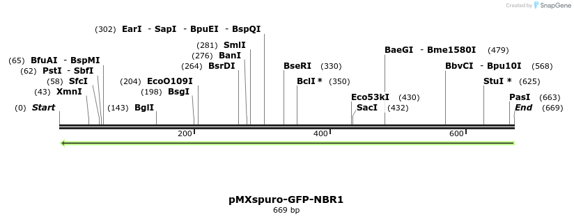 142802_map