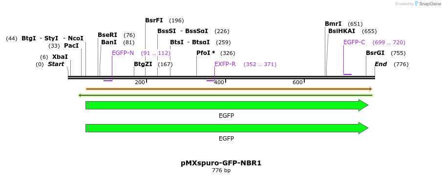 142803_map