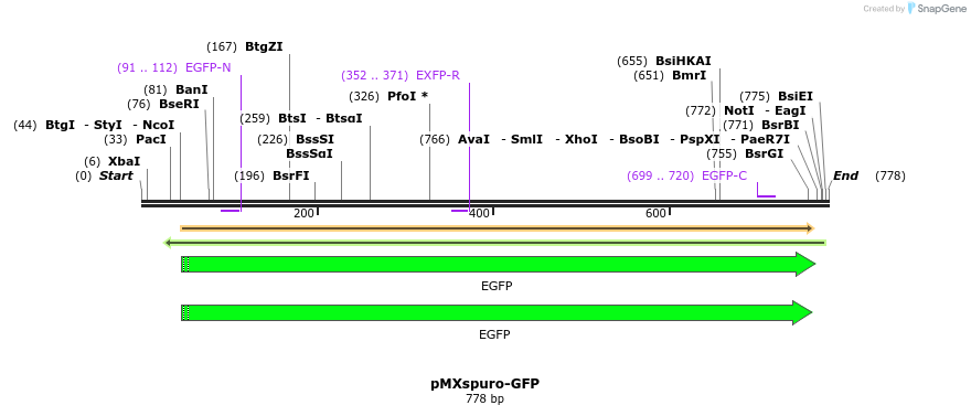 142804_map