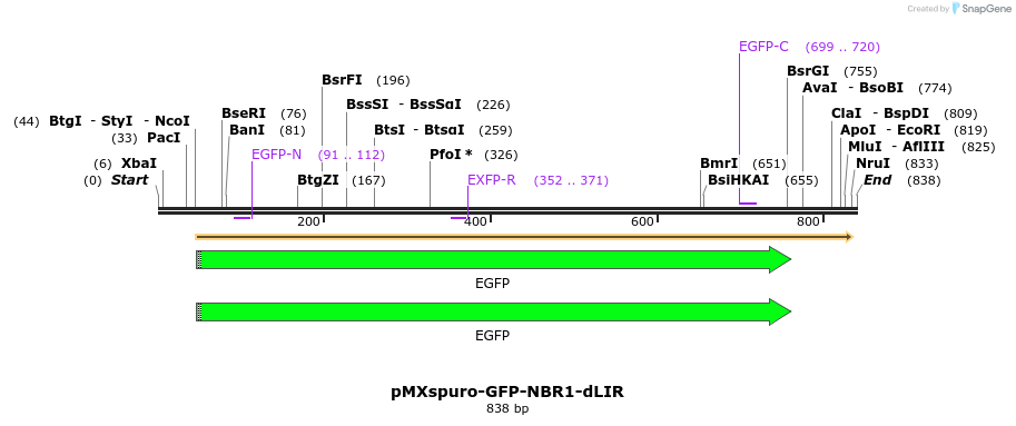 142806_map