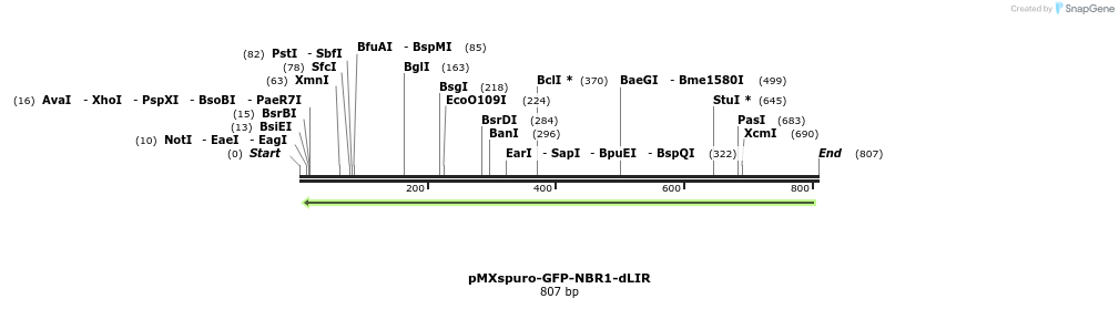 142807_map