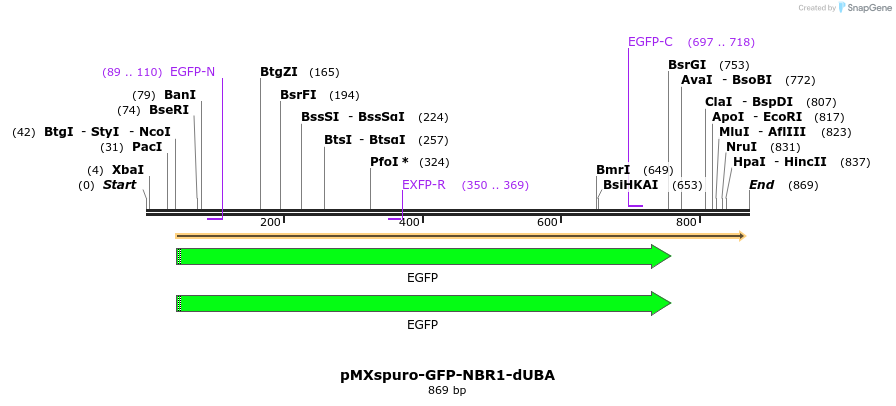 142811_map