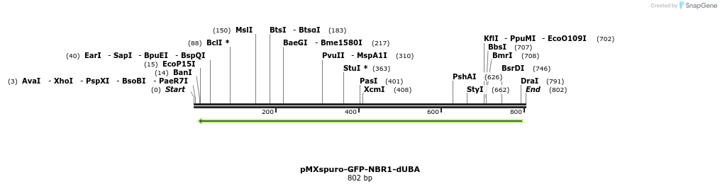 142812_map