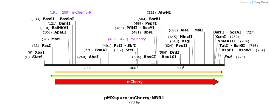 142814_map