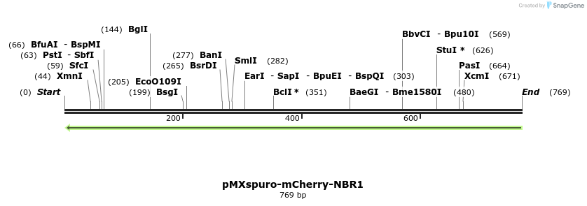 142815_map