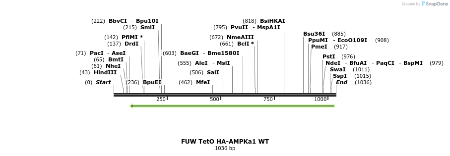 142816_map