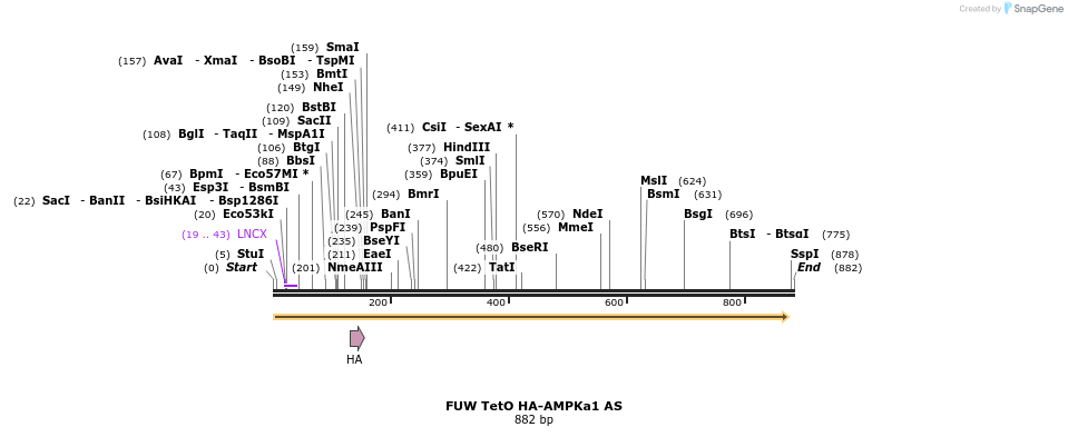 142823_map