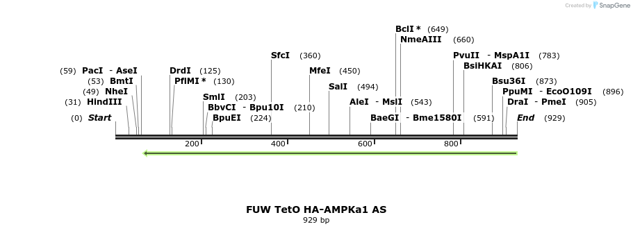 142824_map