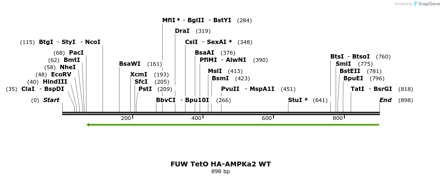 142829_map