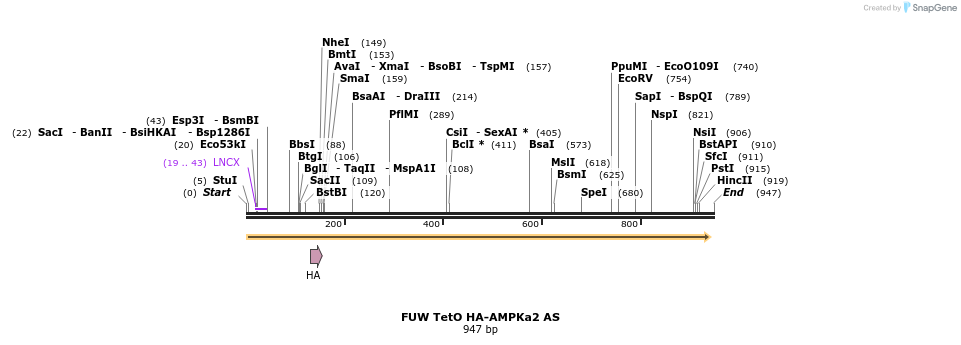 142830_map