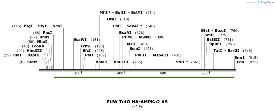 142833_map