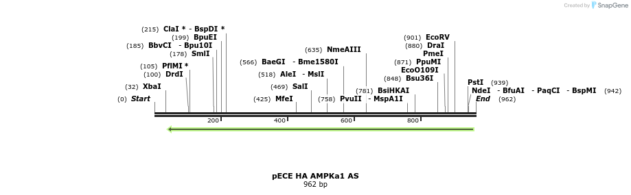 142862_map