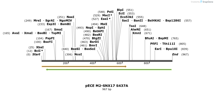 142871_map