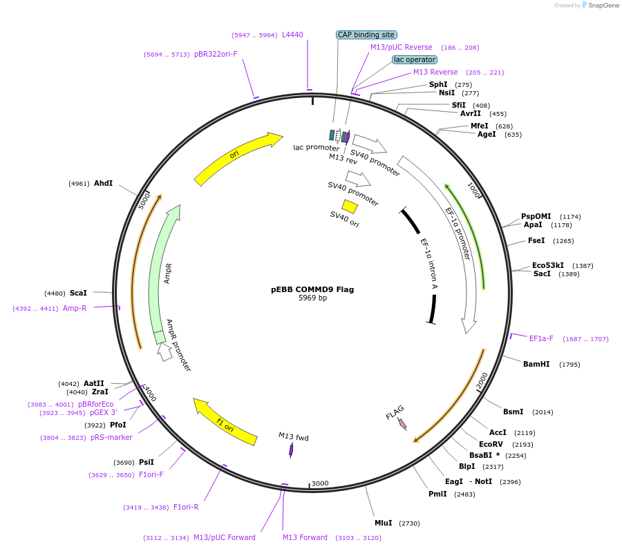 142873_map