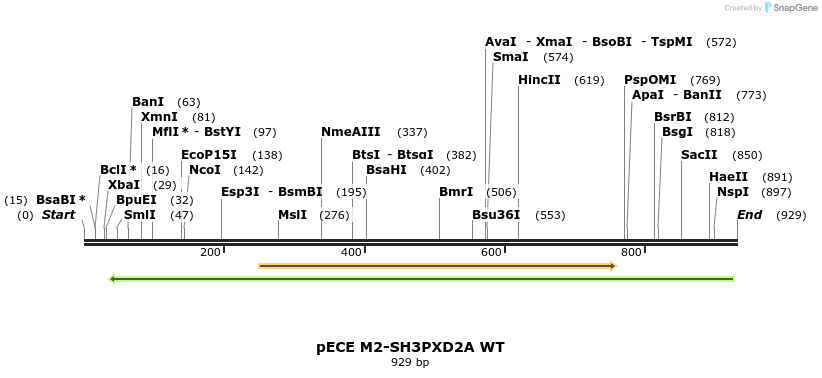 142887_map