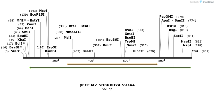 142890_map