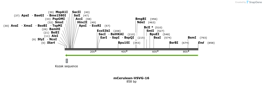 142891_map