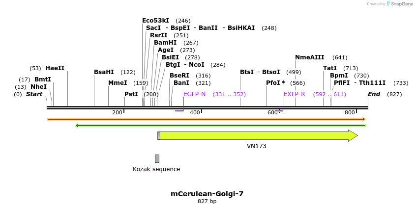 142892_map