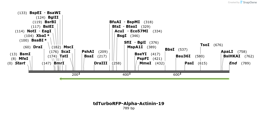 142904_map