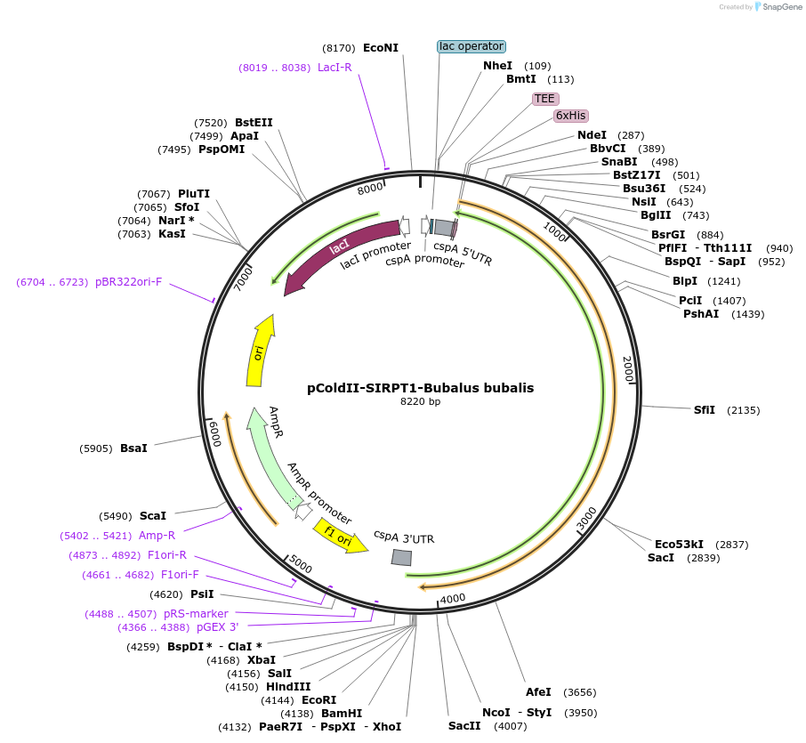 142906_map
