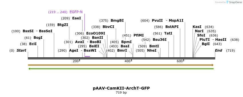 142909_map