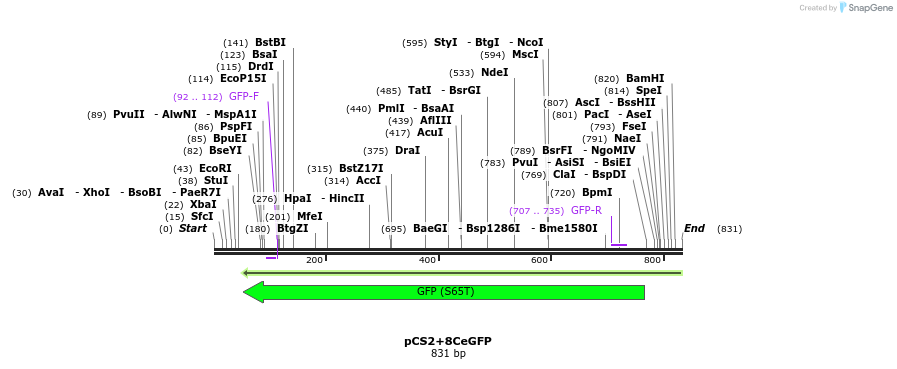 142910_map