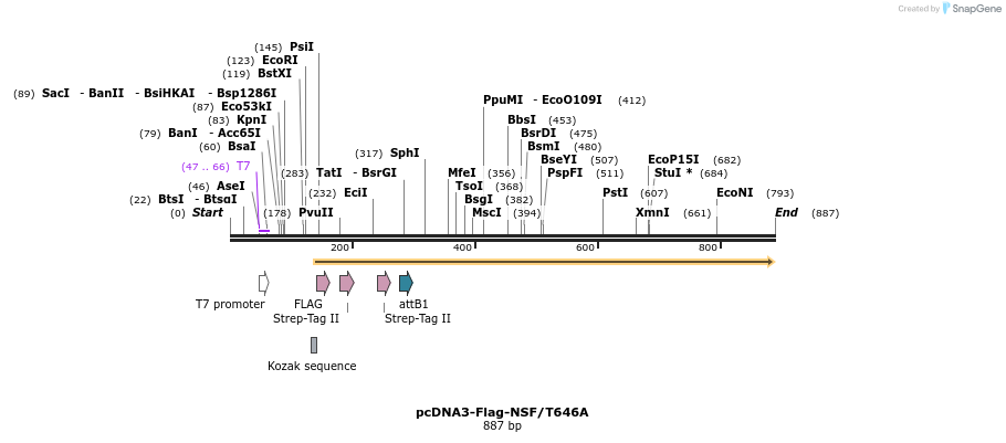 142915_map