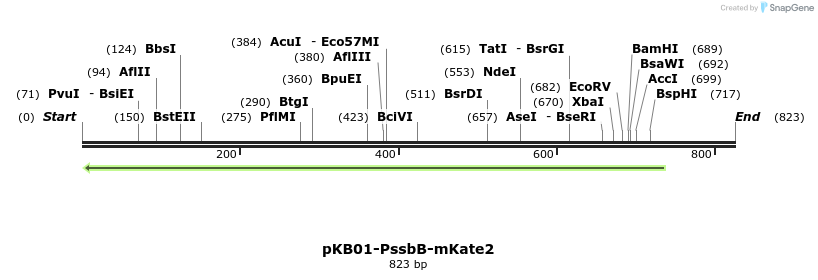 142920_map