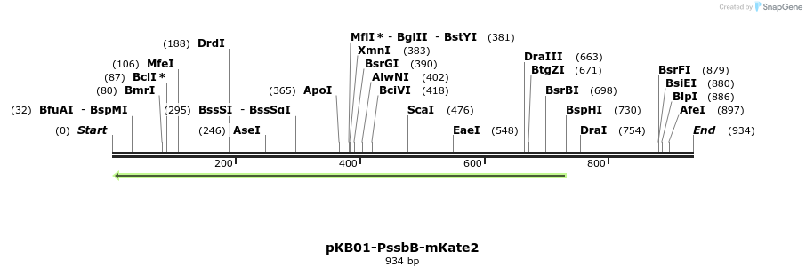 142922_map