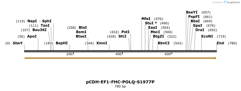 142931_map