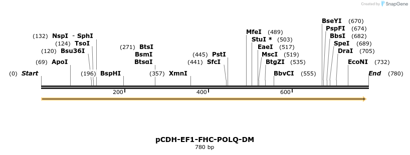 142934_map