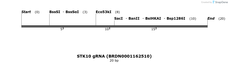 142949_map