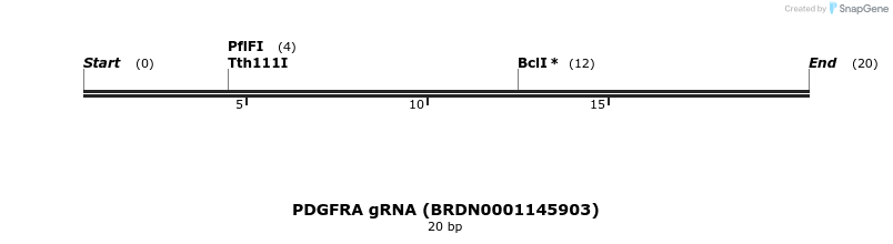 142952_map