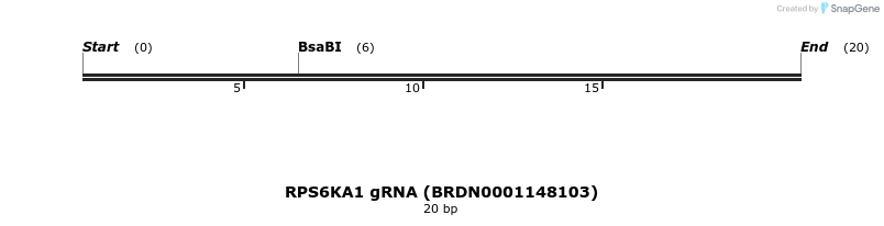 142958_map