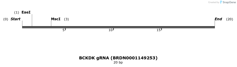 142965_map