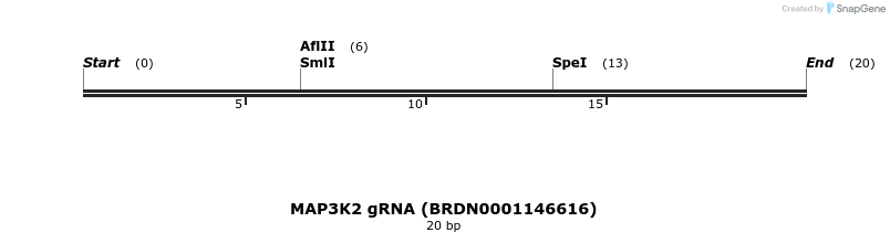 142970_map