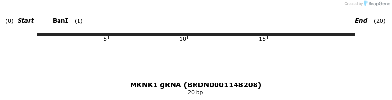 142974_map