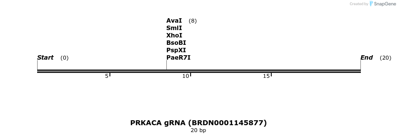 142977_map